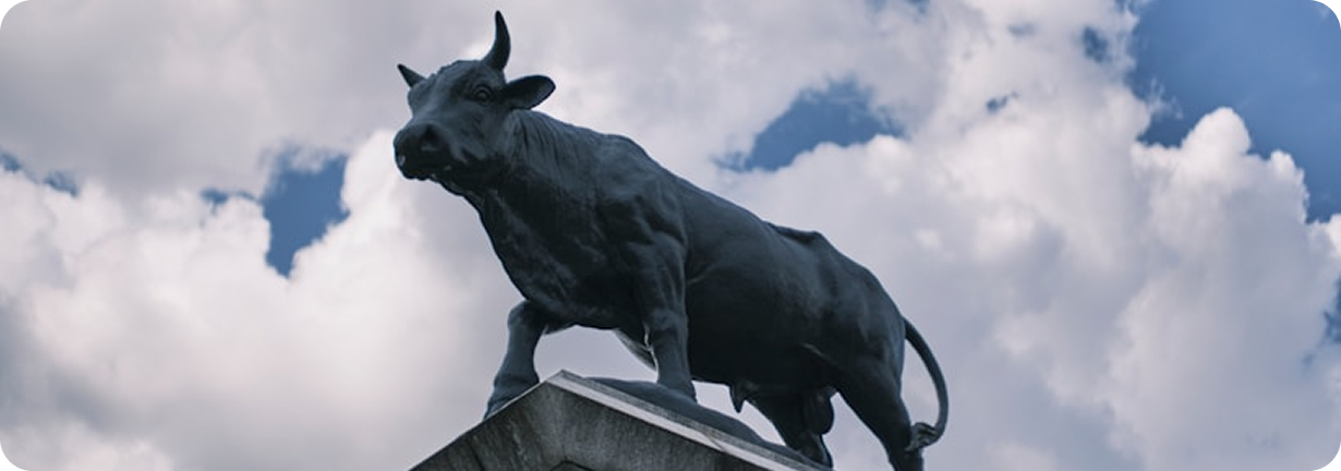 Bull trading